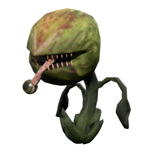 Bloommaw